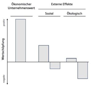 Externe Effekte: Soziale Kriterien im Blick...
