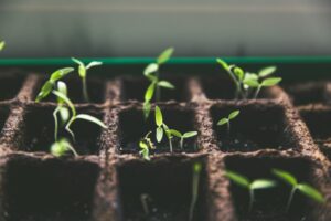Financial consulting Team leadership: Development &...