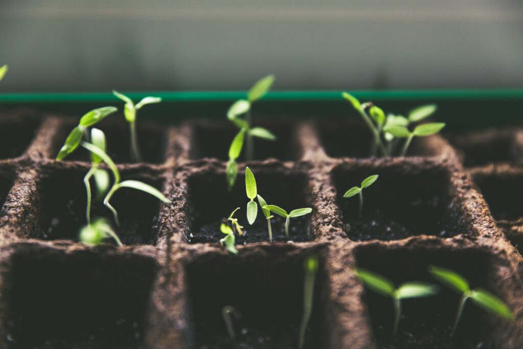 Financial consulting Team leadership: Development &...